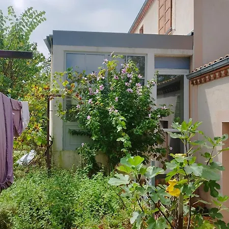 Lejlighed Le Garden Albi